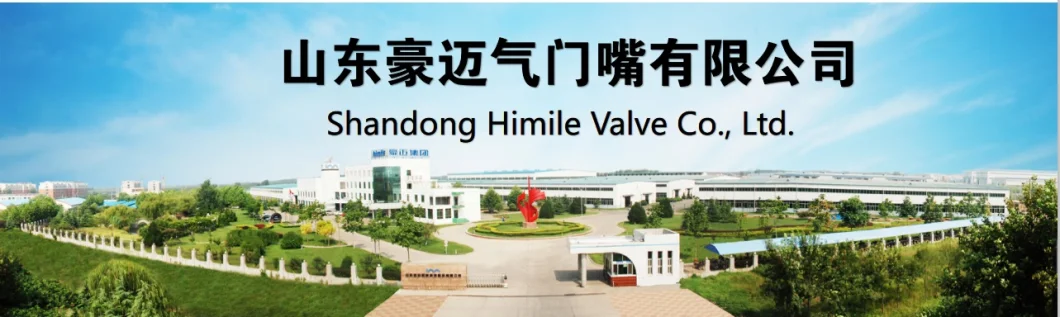 Himile Car Tyre Valve Truck, Bus, Van, Car Tyre Valve Tire Valve Seal Rubber Gaskets, Grommets, O-Rings
